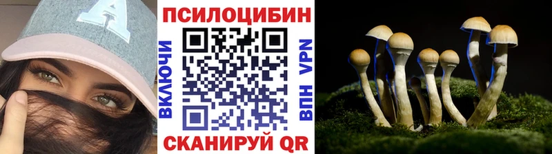 Галлюциногенные грибы прущие грибы  Купить  Мезень 